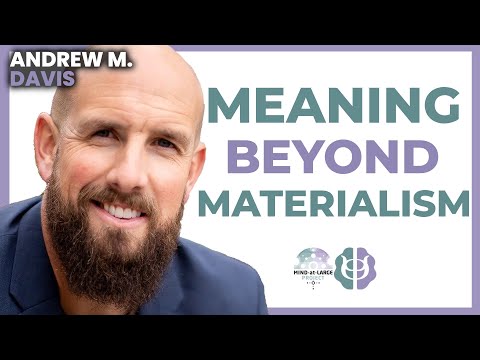 The Meaning Crisis, Process Cosmology & Whitehead's Universe | Andrew M. Davis