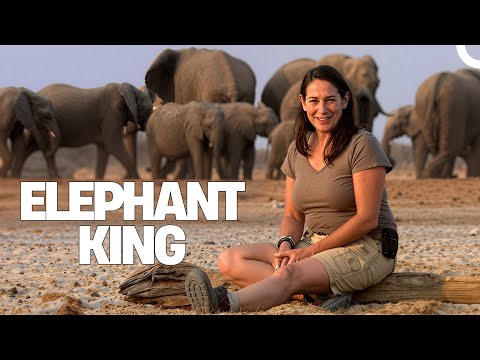 Young People Who Whisper to Animals! | Elephant King Drama Movies FULL HD!