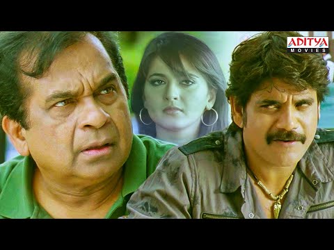 Ragada Hindi Dubbed Movie Scenes | Nagarjuna, Anushka | Brahmanandam | Priyamani |Aditya Movies