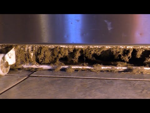 How to Clean your Refrigerator Coils