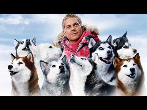 【南极大冒险】8只哈士奇被抛弃南极，都以为它们死了，可它们却创造了奇迹「一语道破电影」