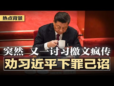 又一讨习檄文疯传，学者联署劝习近平下罪己诏；张又侠缺乏政治资本，无力撼动习近平；两大分歧至元老派撕裂：后习时代谁接烂摊子？中共体制存续与否？ | #热点背景20250508