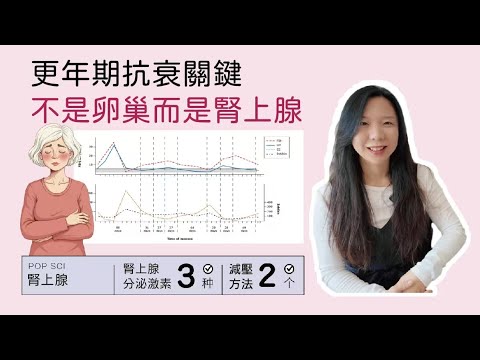 【更年期逆齡術】搞懂腎上腺，年輕10歲不是夢！
