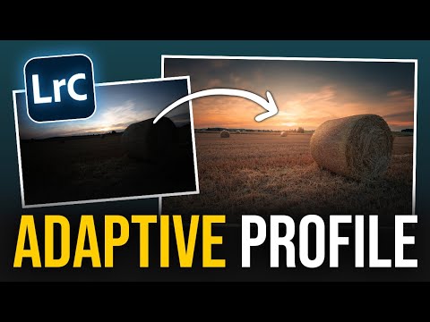 Why Adobes ADAPTIVE PROFILE is so POWERFUL (Lightroom tutorial)