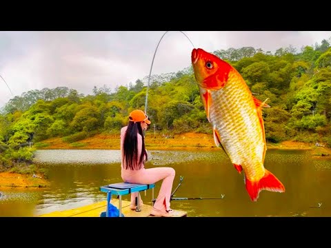 50塊釣費盤黑坑囂張老闆?不料美女釣的越多老闆越高興,最後竟還要繳1500塊保護費?【女钓友微微】