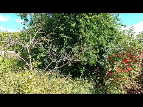 She Was Desperate For HELP - We Gave Her a CHRISTMAS Surprise 🎄🎅