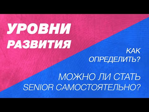 Можно ли стать senior самостоятельно? Уровни развития. Как определить свой уровень в программировани