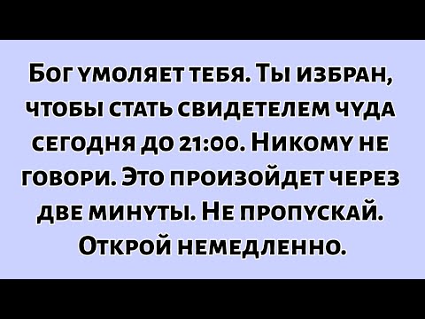 🧾Бог умоляет тебя. Ты избран, чтобы стать свидетелем чуда сегодня до 21:00. Никому не говори...