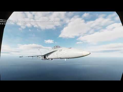 Landing in DCS until I get a girlfriend | Day 341