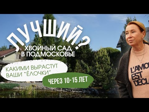Как ПОСАДИТЬ ХВОЙНЫЕ, чтобы было КРАСИВО?! ЛУЧШИЙ хвойный сад Подмосковья