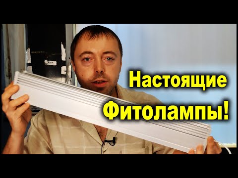 Фитолампы практичный огород купить.