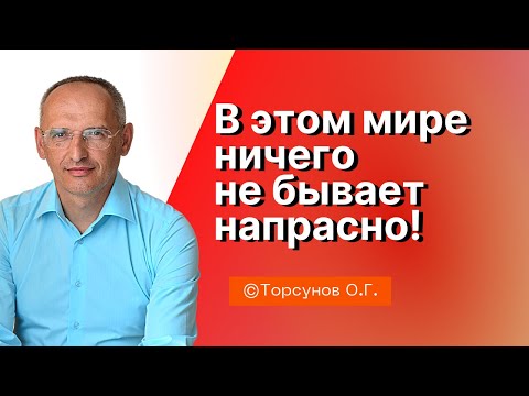 Торсунов О.Г.  В этом мире ничего не бывает напрасно! г. Екатеринбург