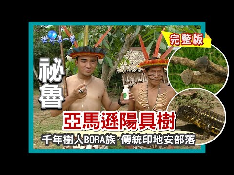 【祕魯】亞馬遜千年樹人部落 找尋陽具怪樹（印地安土著生活／吹箭打獵／製作蛇皮果果汁）｜《世界第一等》319集小馬完整版