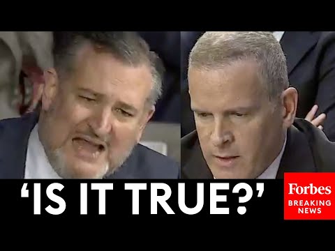 BREAKING NEWS: Ted Cruz Explodes On Top FBI Official Over Biden 'Bribery Scheme' Allegations