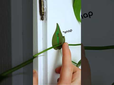 Zip Ties Are Dead — Meet ... 🌱