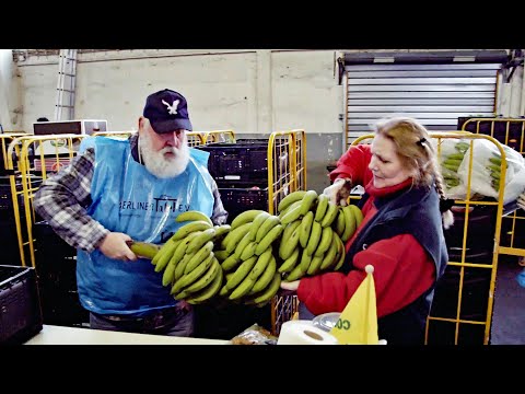 Die Lebensmittel-Retter: Ins Regal statt in die Tonne (SPIEGEL TV für ARTE Re:)