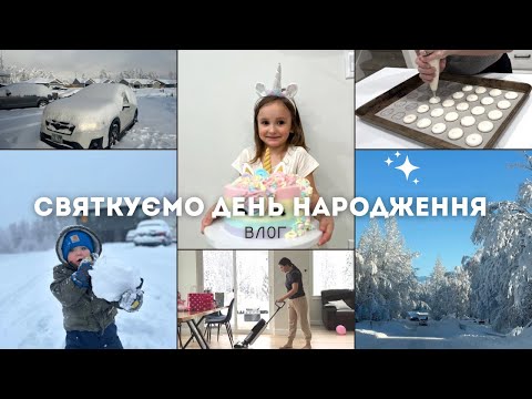 сніжні бурі і день народження доньки | життя на Алясці