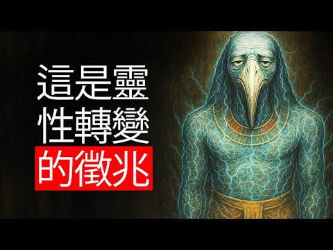 托特：“当一切感觉麻木时，这是你旧现实正在结束的信号”