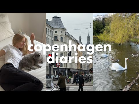 copenhagen diaries | new furniture, baking & fav breakfast spot!