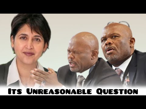 WATCH | Tension rises between Adv Hassim and General Sibiya: “You’re very wrong to say that”