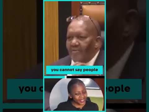 EFF MP Mashabela vs Deputy speaker