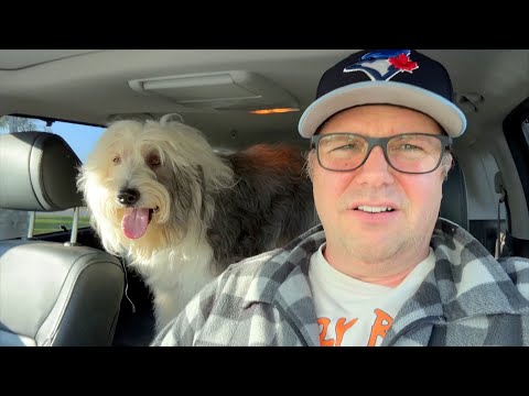 Our Old English Sheepdog is Not Doing Well - Farm Vlog