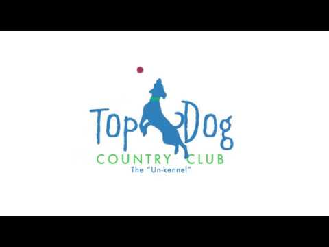 Hello From our Managers