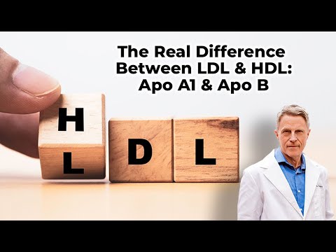 The Real Difference Between LDL & HDL: Apo A1 & Apo B