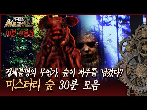 [다시보는 서프라이즈] 정체불명의 무언가, 숲이 저주를 남겼다? 미스터리 숲 30분 모음 MBC 160410 방송