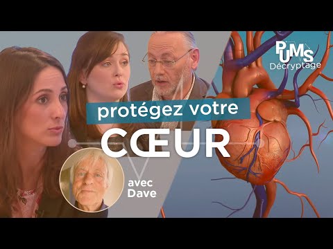 Maladies cardiovasculaires, infarctus du myocarde : Comment protéger son coeur ?