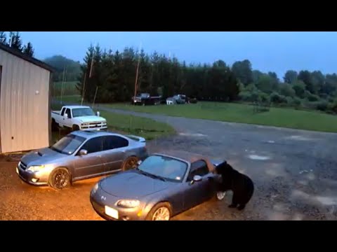 Moments Filmed Seconds Before Disaster