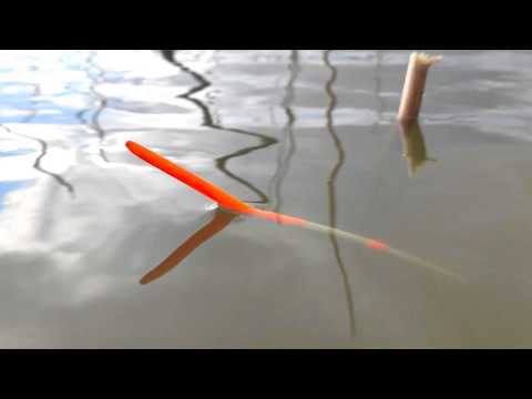 100 кг на удочку 😮КАРАСИ ЛЕЩИ САЗАНЫ... ТАКОЕ РАЗ В ЖИЗНИ!!!! РЫБАЛКА НА ПОПЛАВОК