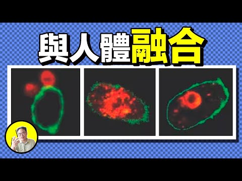 神秘病原體竟與人體細胞融合？這也許是人類永遠無法戰勝的初代魔王......｜總裁聊聊