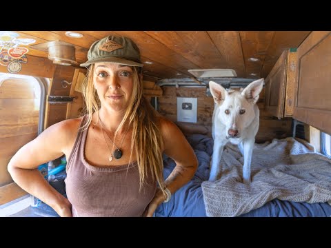 I'm Building a HOUSE Off-Grid
