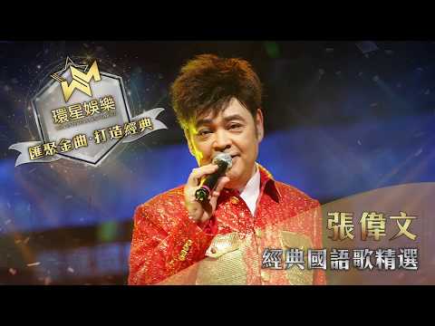 靚聲王 張偉文丨經典國語歌精選 (環星娛樂 - 匯聚金曲丨打造經典)