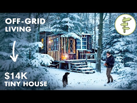Self-Sufficient Man Built an Off-Grid Tiny House Homestead & Lives on a Minimal Budget