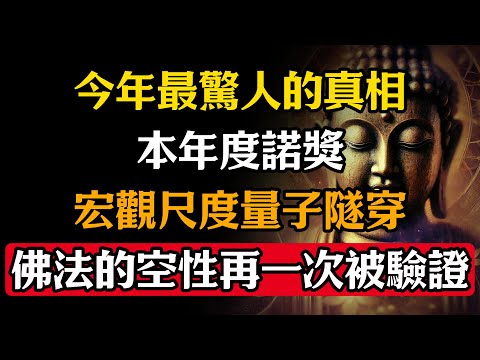 今年最驚人的真相，2025年度諾獎：宏觀尺度量子隧穿，佛法的空性再一次被驗證#佛學 #禪宗 #佛教哲學 #佛教經典