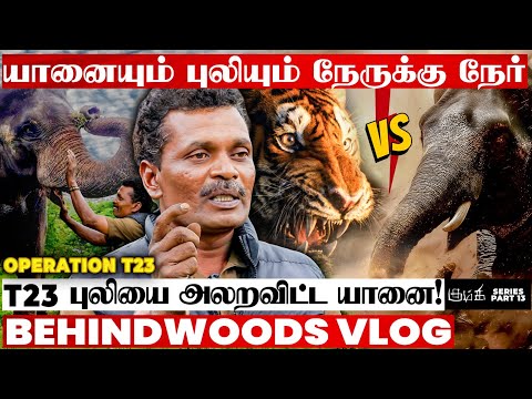 பாகனிடம் குழந்தை..🐘 புலிய பார்த்தா பேயா மாறிடுவான்!😨 உதயன் யானையின் திகில் சம்பவம்!