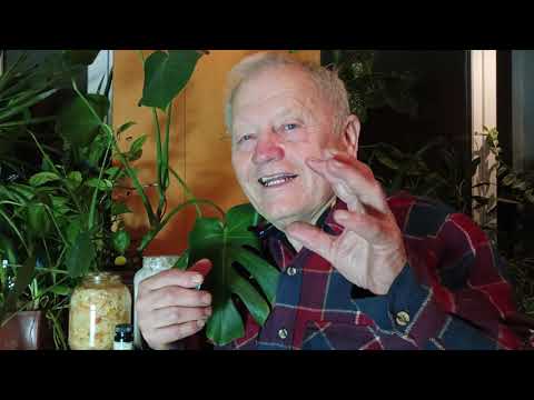 Лучшее средства для малины и томатов от вредителей и болезней в РЗ от Распопова