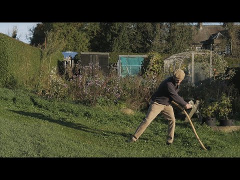 October scything with an old English blade
