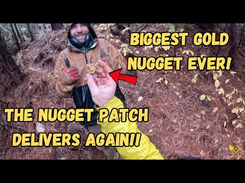 We Braved an Atmospheric River and Found our Biggest GOLD NUGGET YET!  - Metal Detecting for GOLD