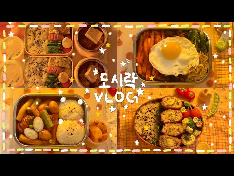 [VLOG]⊹ 더워도 G🌞 여름 도시락 (*゜ω゜)ゞ✨🌿미니 스카치에그 도시락🥚/불짜장 떡볶이,참치주먹밥 도시락🍙🔥/생갈비 김치찌개 도시락🍱/무생채 소고기 비빔밥 도시락｡˚✭
