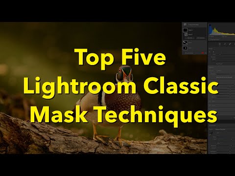 Top Five Masks in Lightroom Classic You Need to Know!
