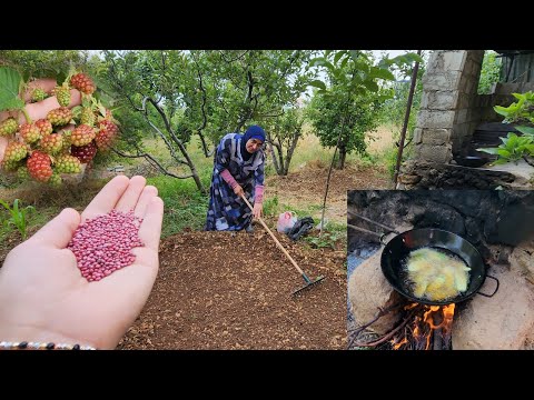 زراعة البقدونس،الكزبرة،المنكس..مقالي عالحطب بأجواء ريفية رائعة|روتين ريفي رائع😍