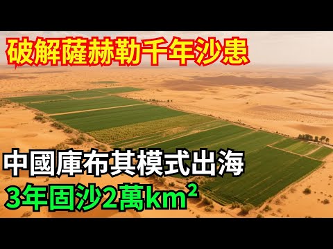 破解薩赫勒千年沙患！中國庫布其模式出海，3年固沙2萬km²#超級#工程#大國工程#國家重器#重大工程