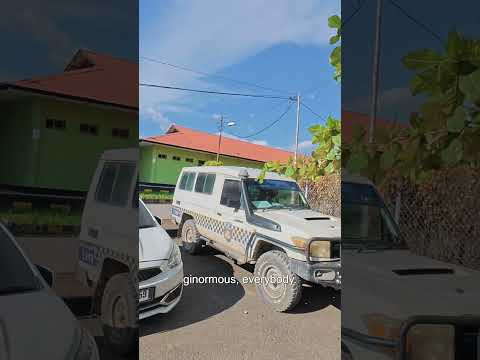 Feeding Police Crocodiles in Timor-Leste 🇹🇱