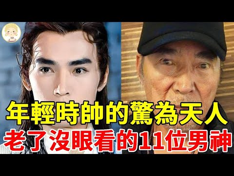 盤點年輕時帥的驚為天人的11位男神，如今老了沒眼看，脫髮油膩、爆肥難認、斷崖式衰老...昔日容貌不復存在，歲月不饒人！#焦恩俊#趙文瑄#費翔#劉文正#秦漢#一隻細細粒
