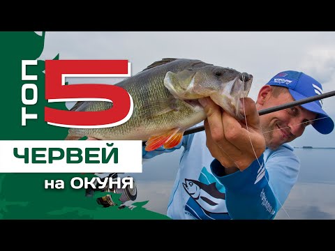 ТОП 5 червей и слагов на окуня от Павла Лясоцкого. Лучшие пассивные силиконовые приманки.