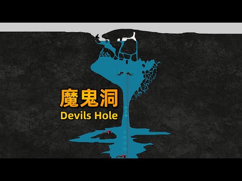 隐藏在沙漠中的神秘洞穴，四人洞内潜水接连失踪，美国魔鬼洞事件