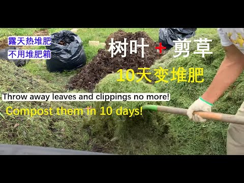 [Eng Sub] 树叶 + 剪草  10天成堆肥  No longer throw away leaves and clippings but compost them in 10 days